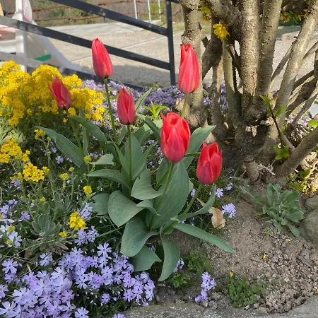 ゲストハウス Lunardini